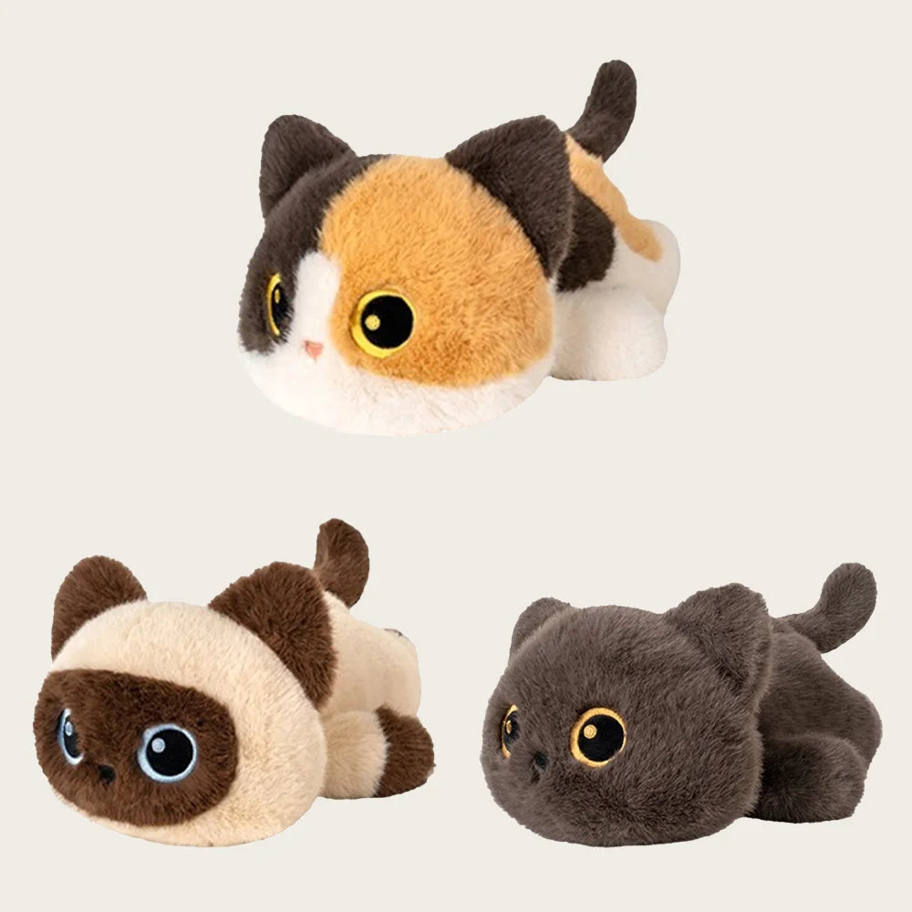 Black Cat Siamese Kitten Plush Toy – 25cm