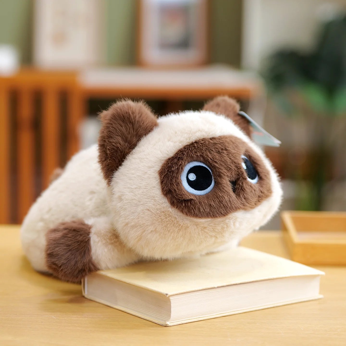 Black Cat Siamese Kitten Plush Toy – 25cm