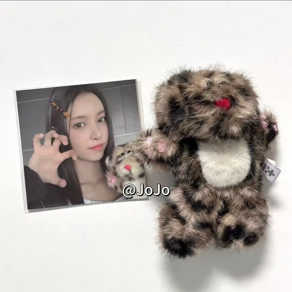 Kpop Girl Group Animal Plush Keychain – Idol Merch